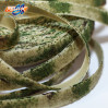 Лента петельная с печатью, 3С420П-Г50